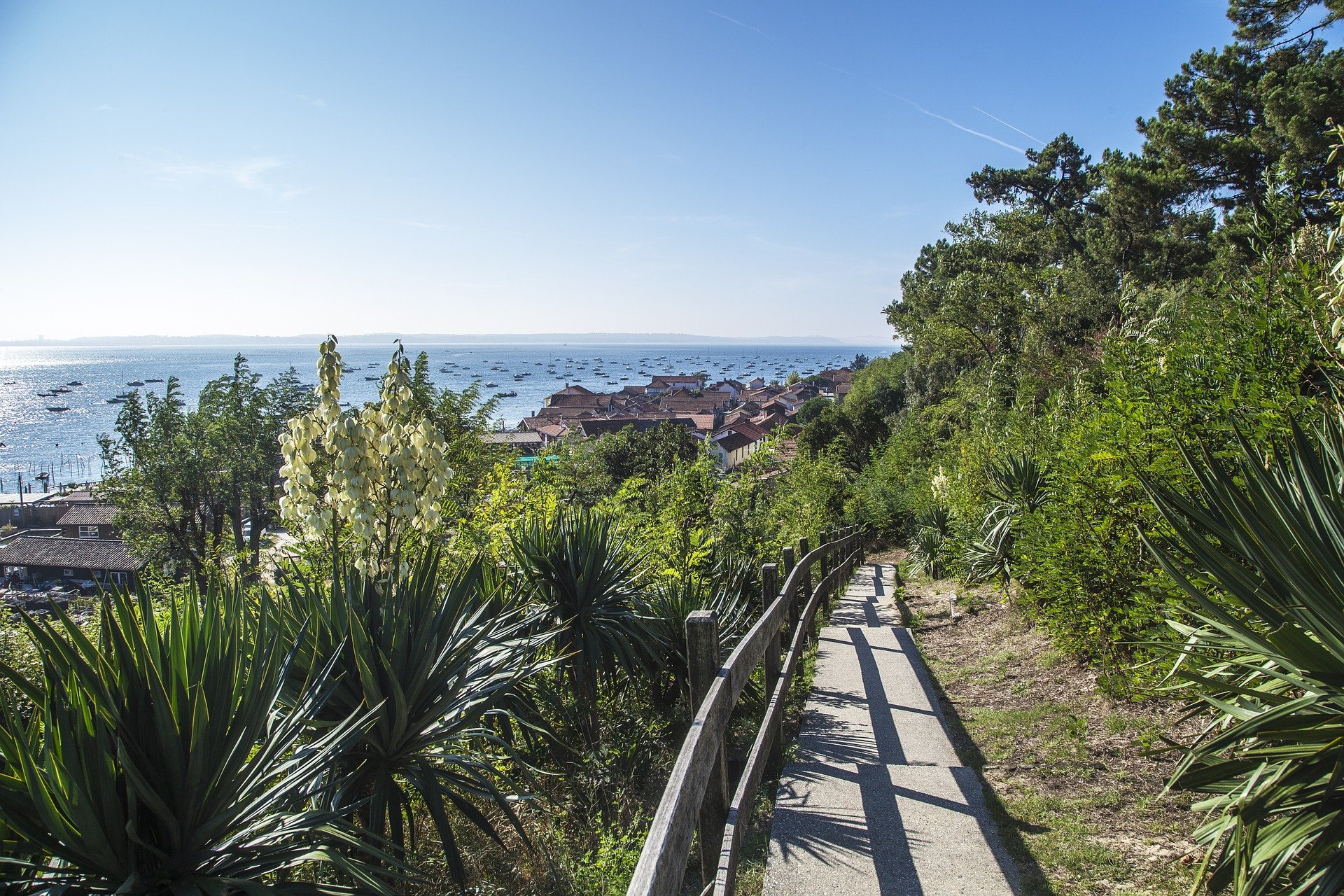 Cap Ferret - Bassin d'Arcachon