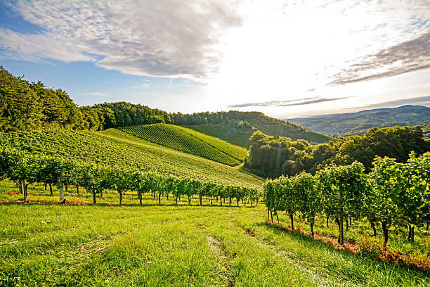 bourgogne-bandeau