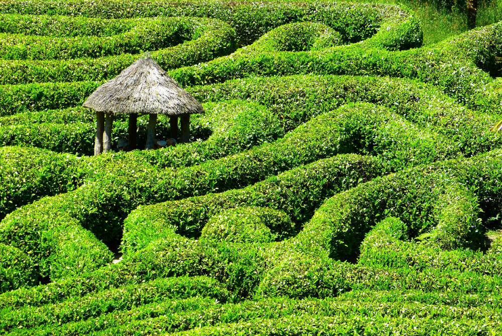 labyrinthe