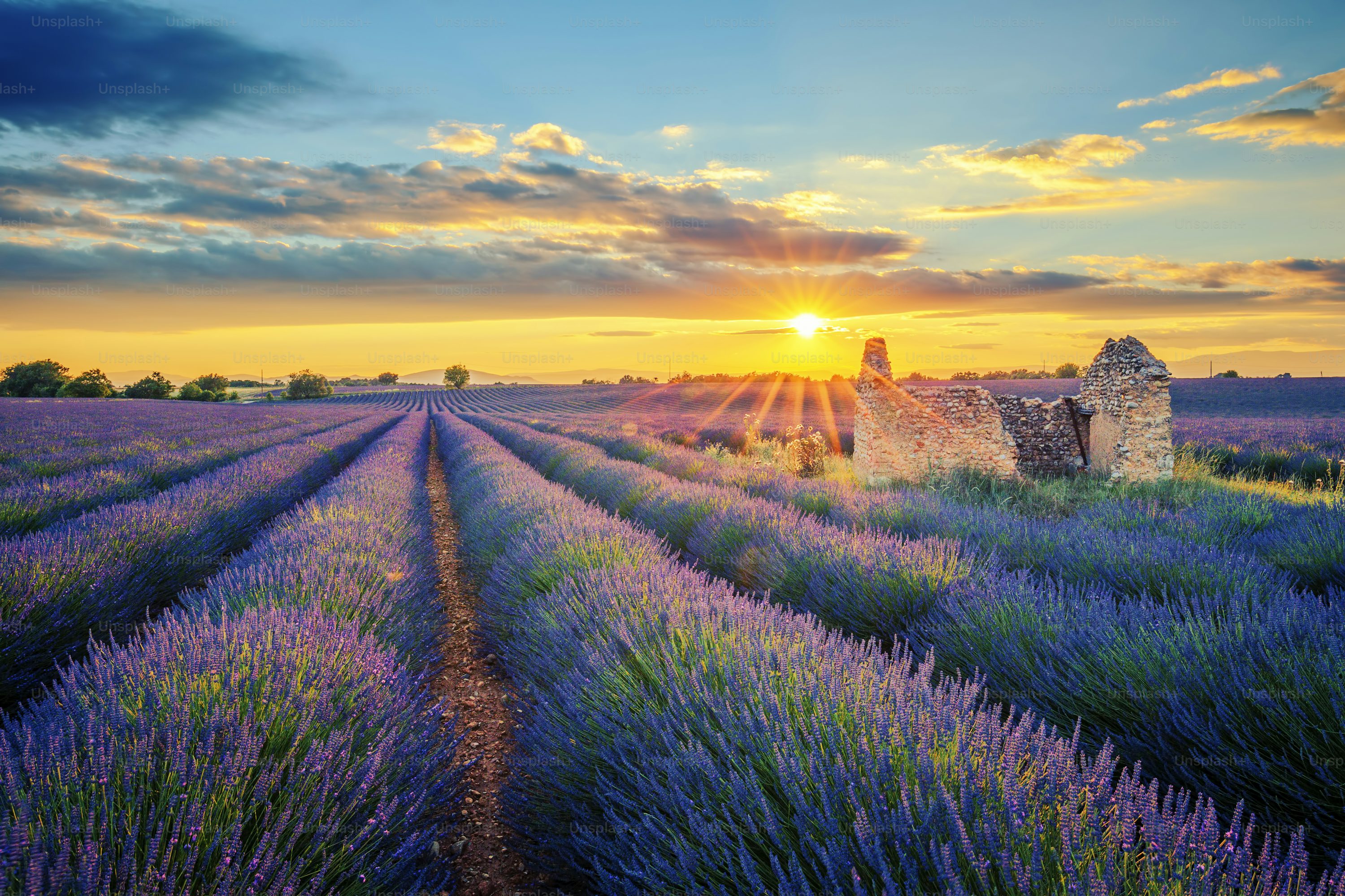 Provence