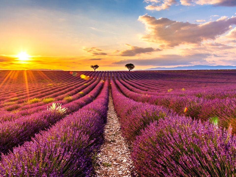 Patrimoine naturel et culturel en Provence