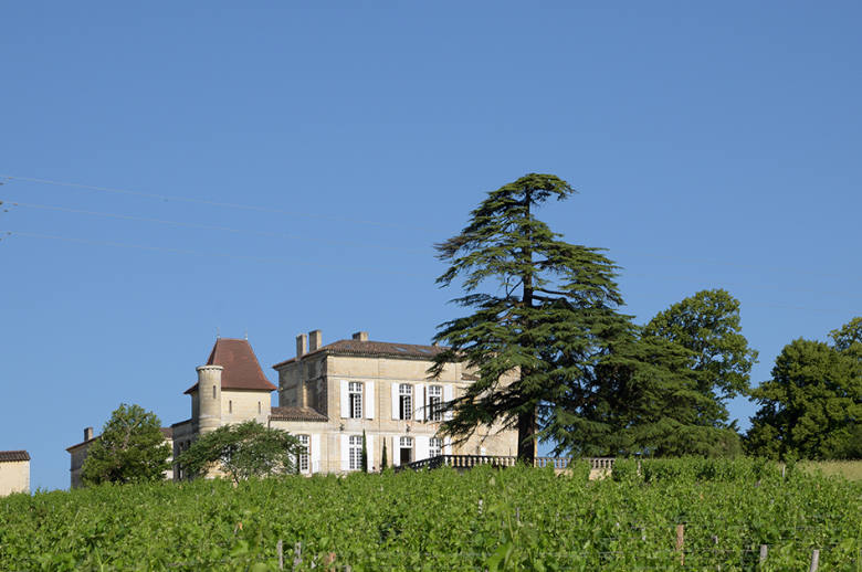 Chateau Luxury Heritage - Location villa de luxe - Aquitaine / Pays Basque - ChicVillas - 1