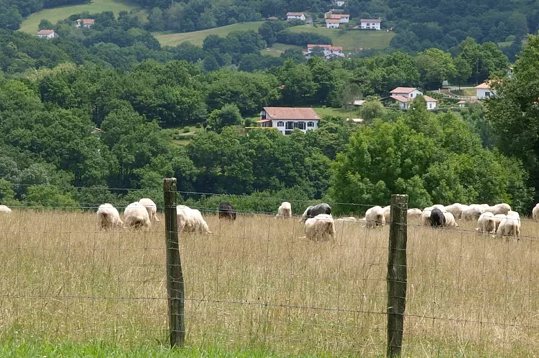 Berdeana 10 - Location villa de luxe - Aquitaine / Pays Basque - ChicVillas - 16