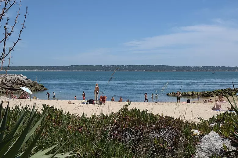 Cap-Ferret Original - Location villa de luxe - Aquitaine / Pays Basque - ChicVillas - 19