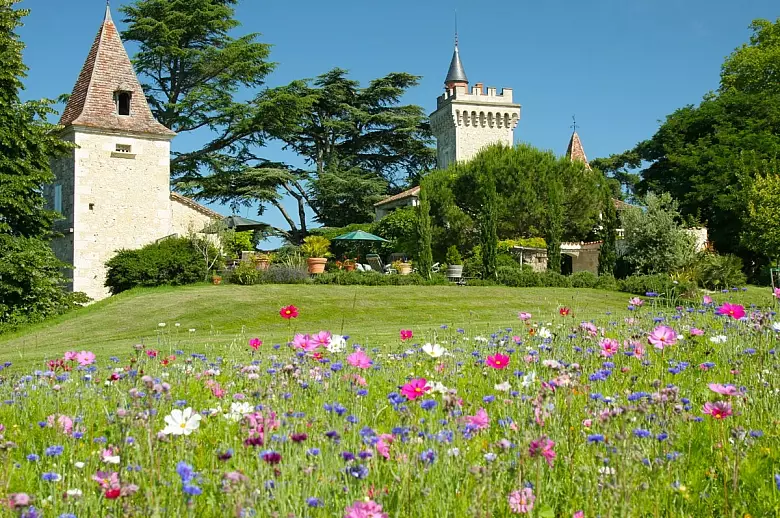 Chateau Heart of Gascony - Location villa de luxe - Dordogne / Garonne / Gers - ChicVillas - 4