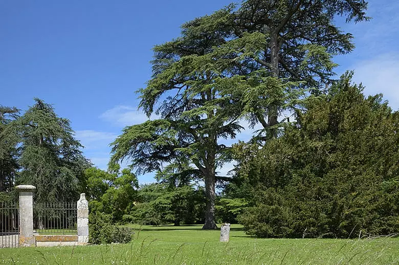 Chateau Les Hauts de Garonne - Location villa de luxe - Dordogne / Garonne / Gers - ChicVillas - 25