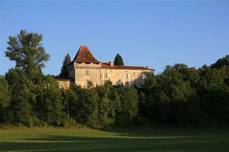 Chateau Pure Perigord - Location villa de luxe - Dordogne / Garonne / Gers - ChicVillas - 39