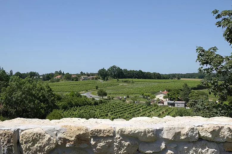 Chateau Wine and Design - Location villa de luxe - Aquitaine / Pays Basque - ChicVillas - 35