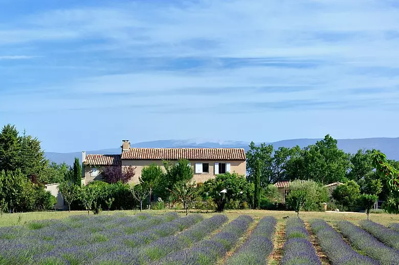 Lavandes du Luberon - Location villa de luxe - Provence / Cote d Azur / Mediterran. - ChicVillas - 27