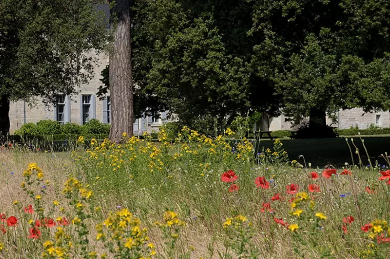 Loire Valley Green Chateau - Location villa de luxe - Vallee de la Loire - ChicVillas - 20