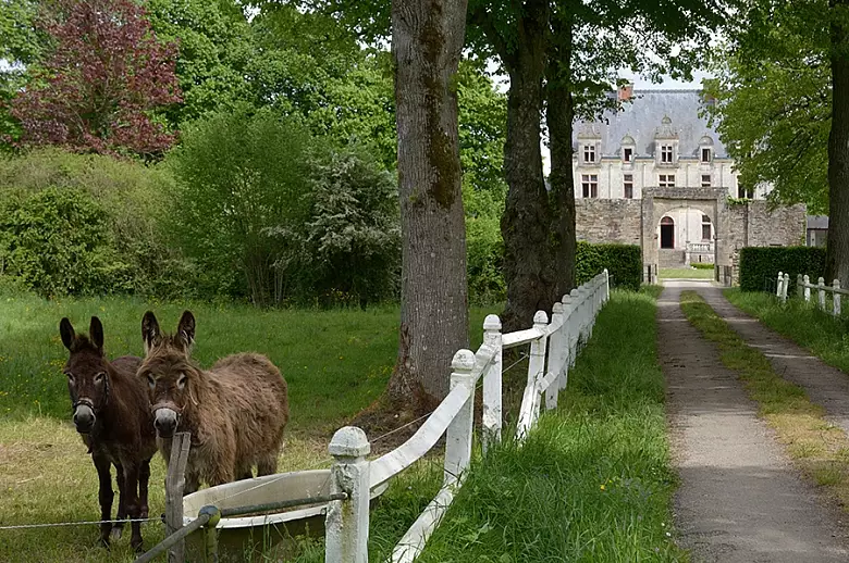 Un Chateau de Reve - Location villa de luxe - Bretagne / Normandie - ChicVillas - 24