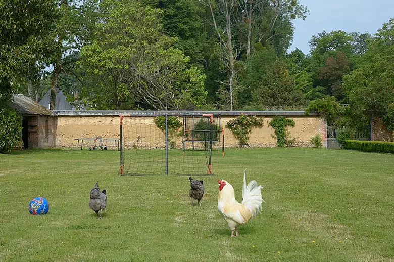 Un Chateau Francais - Location villa de luxe - Paris / Ile de France - ChicVillas - 16